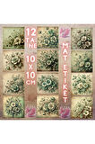 Yeşil Adaçayı Temalı Vintage 12 Adet Scrapbook Bullet Journal Mat Planlayıcı Sticker Etiket Seti
