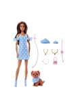 Barbie Uyumlu Dostlar Kahverengi Saçlı Bebek Ve Köpekçiği Jfp38