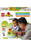 Lego ® Duplo® İlk Şekil Ayırıcı: Köpek Evi 10441 - 1½+ Çocuklar Için Eğitici Oyuncak Yapım Seti (17P