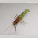 Karides Sahte Silikon Shrimp Balık Yemi Silikon Karides 7,62 cm 6,5 gr Kahve Kuyruk