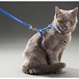 KEDİ BOYUN VE GÖĞÜS TASMASI RENK KARIŞIK