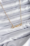 STİLLOVE 316L Çelik Zincir Gold Renk Atatürk İmzası Model Kadın Kolye
