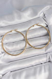 316 Çelik Gold Renk 53 mm Halka Model Kadın Küpe SL11767