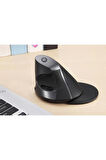 Deluxe M618GX Ergonomik Dikey 6 Buton Kablosuz Mouse