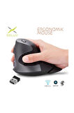 Deluxe M618GX Ergonomik Dikey 6 Buton Kablosuz Mouse