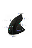 Kablosuz Ergonomik Dikey Mouse 80012001600 DPI
