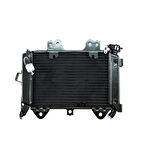 Bajaj Pulsar Ns 200 Radyatör Orjinal Tüm Yıllara Uygun ( Kapaksız ) _Supermoto