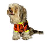 Orange Grafiti Sweat by Kemique Köpek Kazağı 