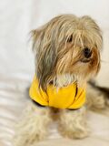Yellow Modern Native Kapşonlu Sweat by Kemique Köpek Kazağı 