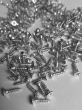 Sunta vidası 3x13 mm 100 adet nikel