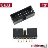 Box Header 2x6 12Pin 2.54mm 180C - 10 adet