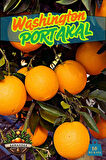 Washington PORTAKAL 10 Kg Kasa Dalından Taze
