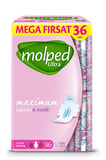 Mega Uzun Ped 36'lı