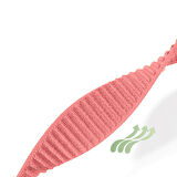 Samsung Galaxy Watch 8 44mm 40mm 47mm İle Uyumlu Naylon Spor Loop Kordon Ayarlanabilir Rahat ve Dayanıklı