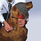 Thundershirt Köpekler için Sakinleştirici Başlık S