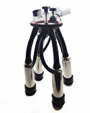 250 cc Pençeli İnek Sağım Demedi