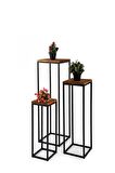 T.Concept Florawood 3’lü Doğal Ahşap Raf Çiçeklik 