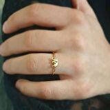 Fil Altın Yüzük Rose Gold