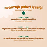 Organik Vegan Zencefilli Keçiboynuzlu ve Portakallı Tatlı Kurabiyeler Atıştırmalık Paketi - 6 adet (3 çeşit)