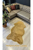Aries Home Tavşan Tüyü Camel Yumuşak Makinede Yıkanabilir Kaymaz Ve Toplanmaz Süet Taban Post Halı