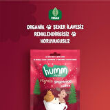 Humm Organik Zencefilli ve Tarçınlı Vegan Kurabiye 55 Gr
