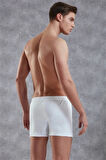 Doreanse Erkek Pamuk Battal Boy Boxer 1511p