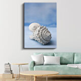 Deniz Kabukları - Okyanus Hazineleri Kanvas Tablo