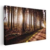 Orman Patikası - Altın Işıklı Ağaçlar Arasında Huzur Kanvas Tablo