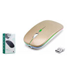 ZR215 Cba100 Rgb Gold Şarjlı Mouse