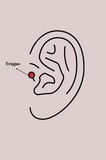 316L Çelik Gümüş Renk Zirkon Taşlı Sallantı Kalp Detay Tragus Piercing TJ-PR1361