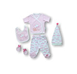 Uykucu Bulut Nakışlı  5li Zıbın Takımı Hastane Çıkışı Pembe