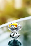 Gümüş Metal Ayaklı Lotus Çiçeği 6’lı Kahve Yanı Cam Lokumluk Drajelik Origami Mini Sunumluk