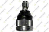 Teknorot MA-202 Salıncak Rotilı Probe 2.0 DOHCe Efı 16V 92-97 Mazda 626 92-97 Mazda Xedos 92-99 18mm G03034550A
