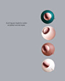 Evcil Hayvan Tüyü ve Tiftik Temizleyici Top – Giysi ve Mobilya İçin