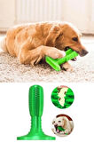 Köpek Diş Temizleyici ve Kaşıyıcı Sağlıklı Küçük Boy Oyuncak