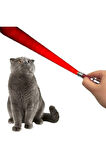 3 Fonksiyonlu Kırmızı Beyaz Işıklı Led Lazer Kedi Köpek Oyuncak Anahtarlık