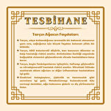 Sistemli Kapsül Kesim Kahverengi Kokulu Tarçın Ağacı Tesbih