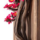 Timber Bonsai Tablaeu 2-1 - Masif Ahşap Çerçeveli 3 Boyutlu Yapay Ağaç Tablosu 35x65 Cm