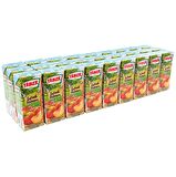 Tamek Şeftali Nektarı 200 Ml X 27 Adet