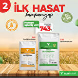 İLK HASAT KAMPANYASI 2