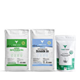 (Glutensiz) Çiğ Karabuğday Unu 2 Kg – 100% Çiğ Karabuğday Unundan Ekmeklik Un 2 Kg – Psyllium 300 Gr
