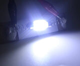 12 Çipli Led Sofit Ampul 36mm Araç İçi Tavan Aydınlatma Ampulü