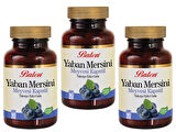 3 Adet Balen Yaban Mersini Ekstraktı (Bilbery) 400 Mg 90 Kapsül