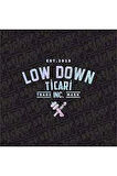 Low Down Ticari Arka Cam Yeni Süper Hologram Oto Sticker