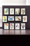 12 Parça (15x20) Uv Baskı Mdf Kelebek Kuş Çiçekli Boho Tablo Poster Seti - Set-403