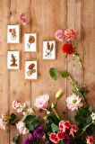 5 Parça (10X15) Uv Baskı Mdf Boho Dizayn Yaprak Tablo Poster Seti - Set-372