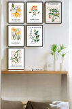 6 Parça (15x20) Uv Baskı Mdf Oturma Odası Meyvelerin Çiçekleri Tablo Poster Seti - Set-292