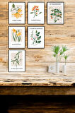 6 Parça (15x20) Uv Baskı Mdf Oturma Odası Meyvelerin Çiçekleri Tablo Poster Seti - Set-292