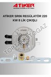 Sıralı Sistem Beyin Yüksek Turbolu Araçlar Için (SR06-220 KW) Regülatör 2024 Üretim