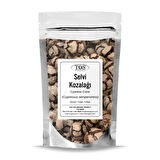 Selvi Kozalağı 100 gr (1. Kalite) Cupressus sempervirens